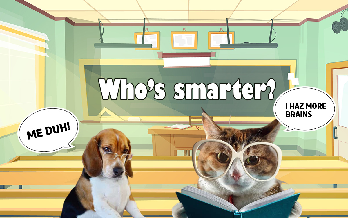 Are dogs smarter than cats?