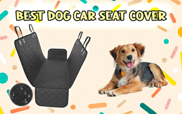 Best Dog car seat cover for 2023