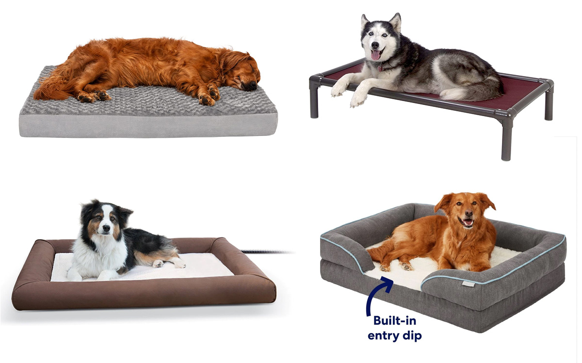 best dog beds for large dogs