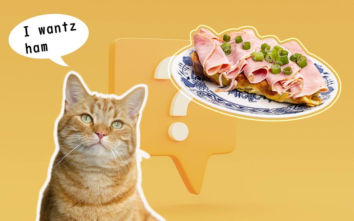 Can cats eat ham?
