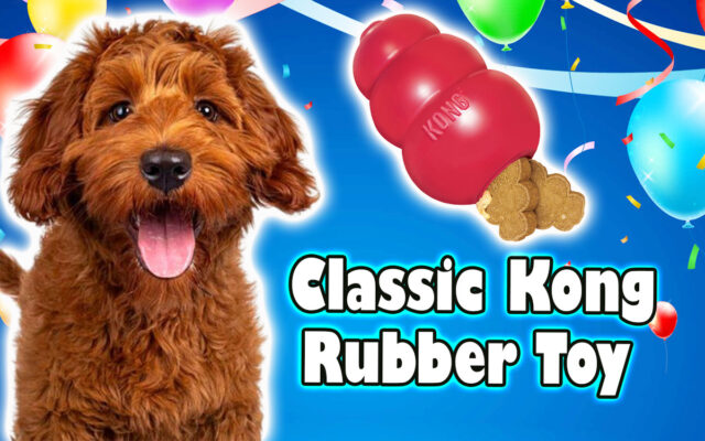 Why Every Dog Owner Needs the KONG Classic Dog Toy