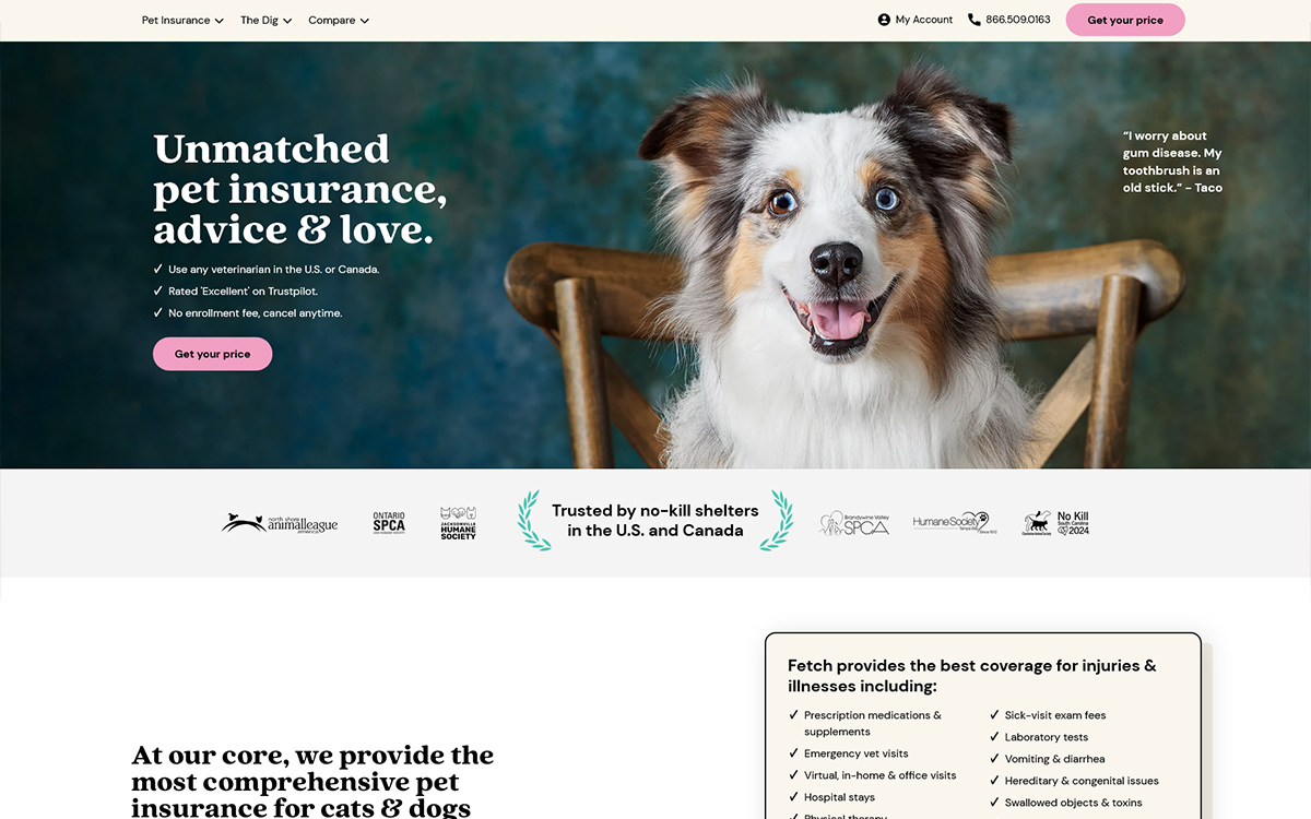 Fetch Pet Insurance