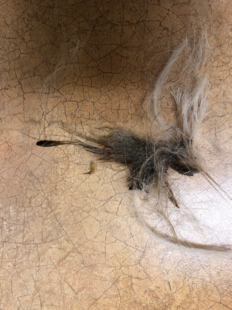 Clumps of fur removed between the paws and a fox tail that came out on the top left