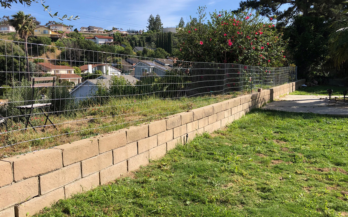 Blocked foxtail ridden backyard area with a mesh fence