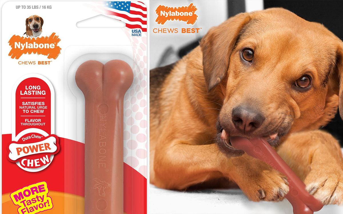 Nylabone bacon flavored dog chew toy